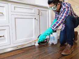 Real Estate Pest Inspections in Portage Lakes, OH